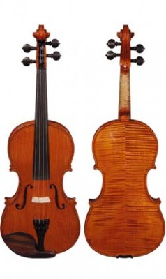 professional_violin_m.jpg