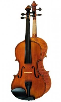 guarnieri_violin_m.jpg