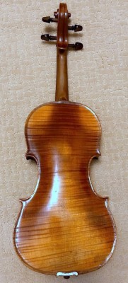 violin_back.jpg