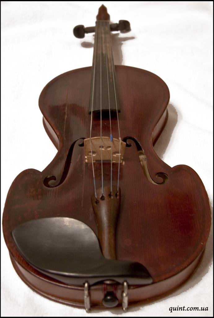 Какие бывают скрипки | Типы и размеры