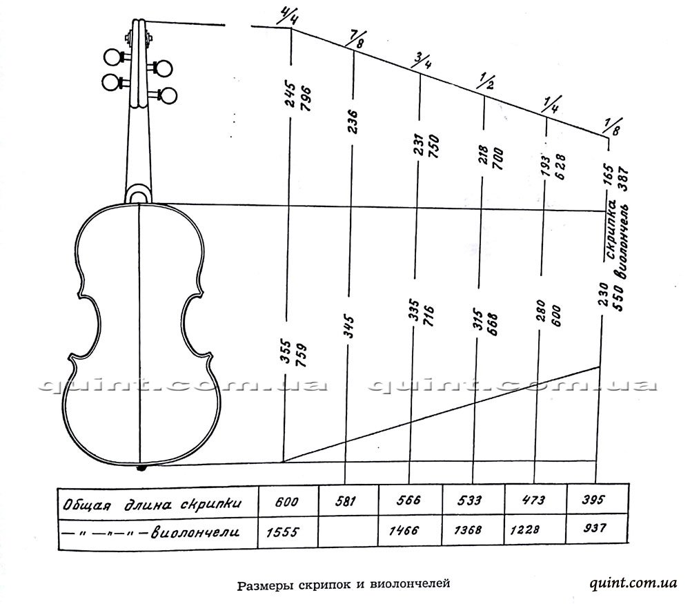 Выбор скрипки 4 4. Размеры скрипки в сантиметрах. Как измерить размер скрипки. Скрипка 1/2 размер. Размер скрипки 4/4.